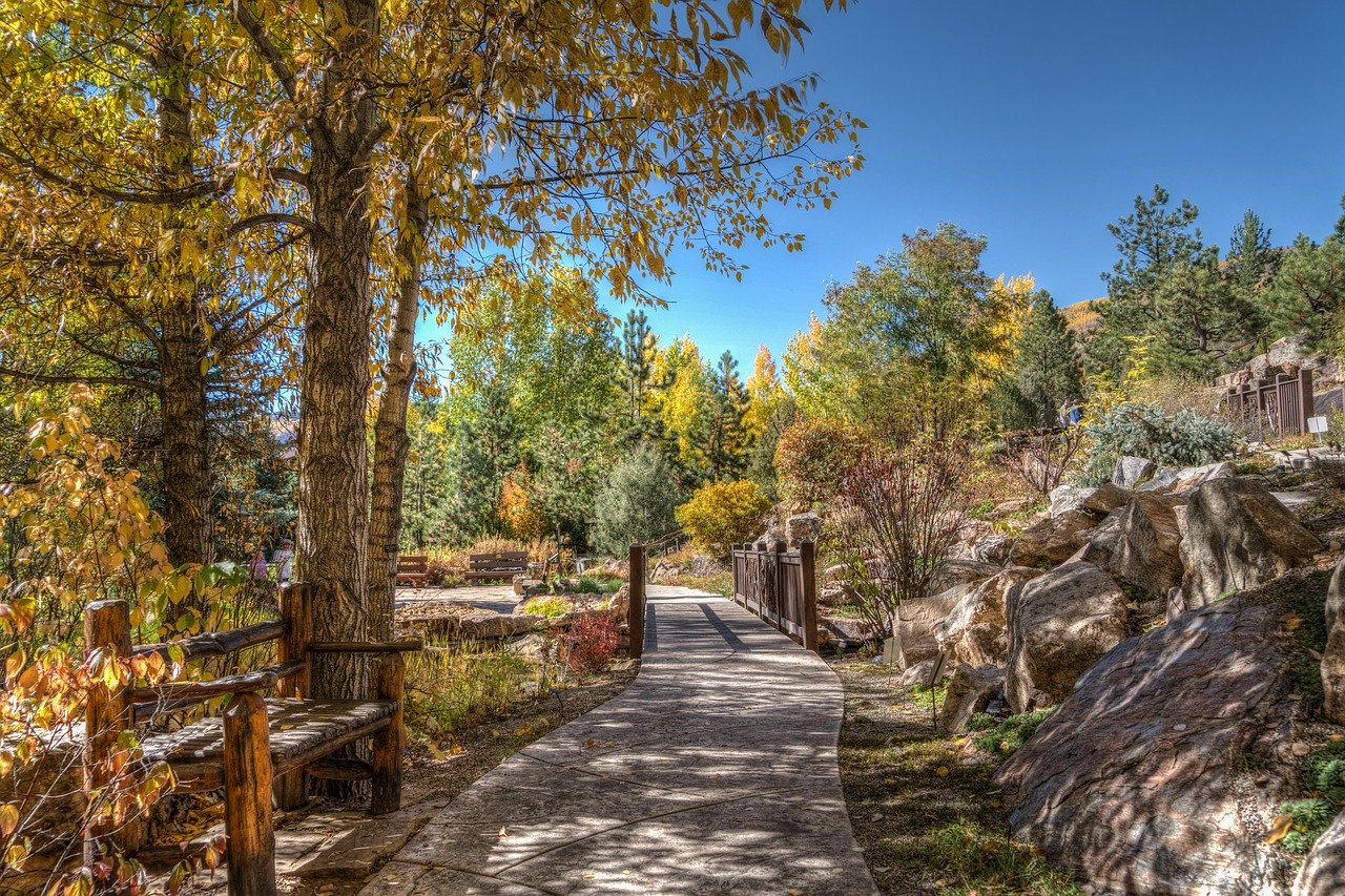 vail, colorado, foliage